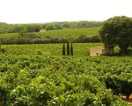 Cote Piscine Plain Pied Feriehus