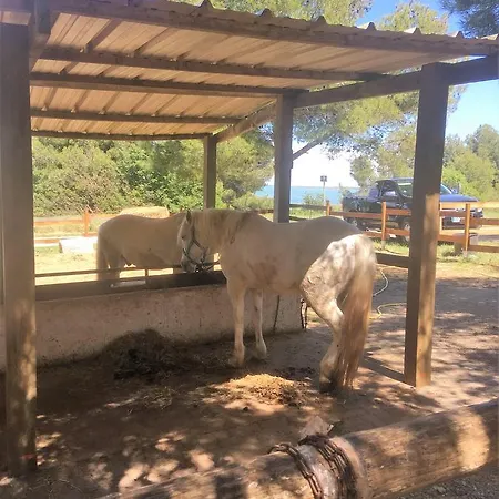Cote Piscine Plain Pied Feriehus