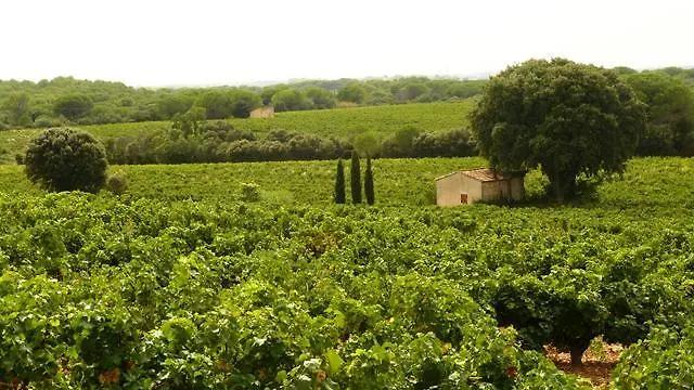 Cote Piscine Plain Pied Casa de Férias