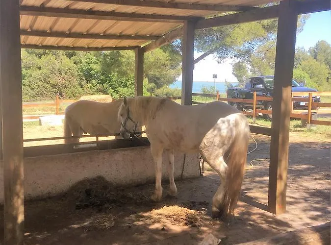 Cote Piscine Plain Pied Casa de Férias